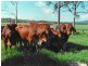 Atherton QLD 4883