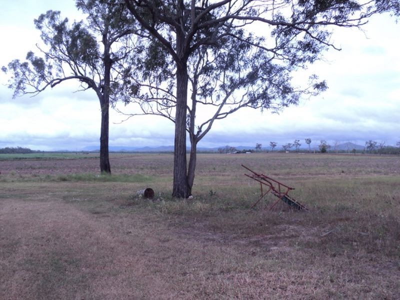 Mareeba QLD 4880