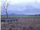Mareeba QLD 4880