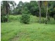 Millaa Millaa QLD 4886
