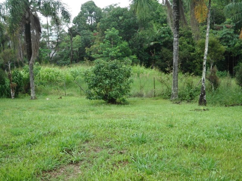 Millaa Millaa QLD 4886
