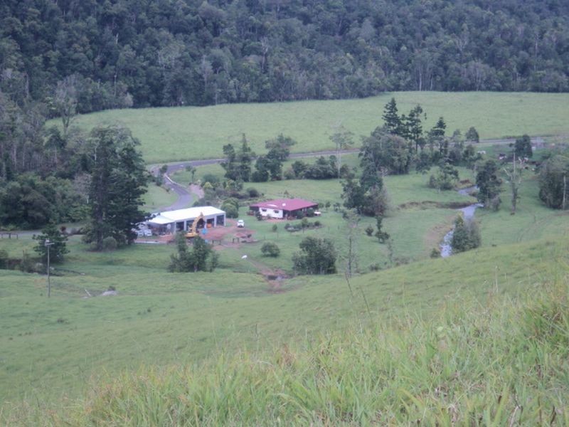 Millaa Millaa QLD 4886