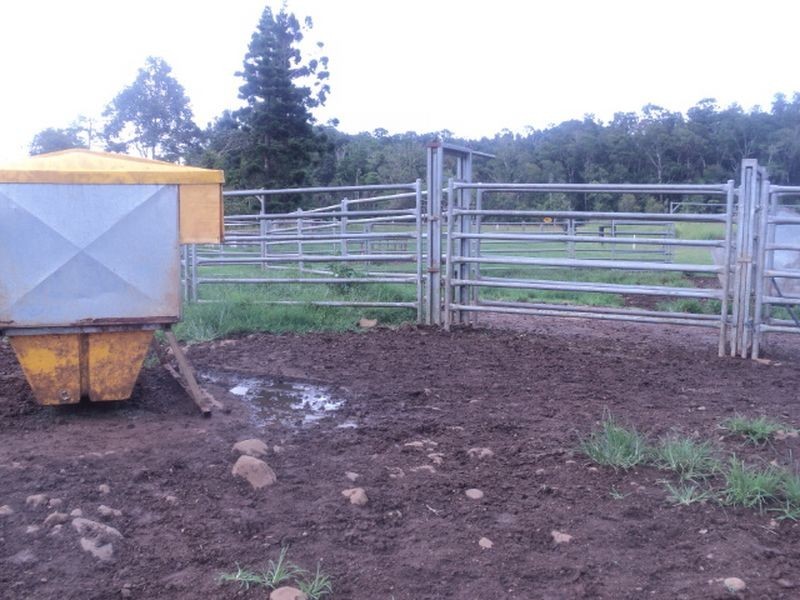 Millaa Millaa QLD 4886