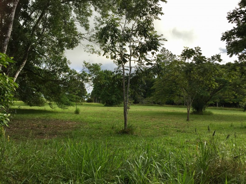 Tarzali QLD 4885