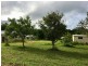 Tarzali QLD 4885