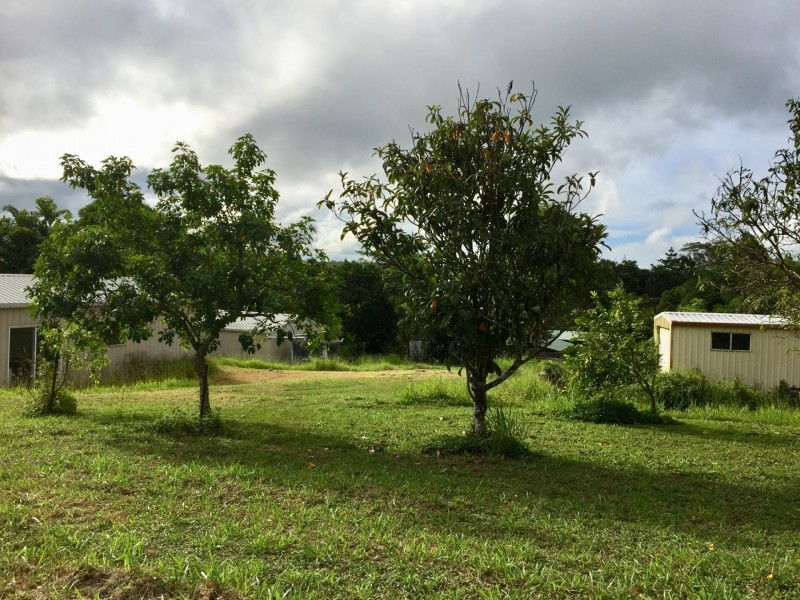 Tarzali QLD 4885