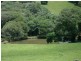 Yungaburra QLD 4884