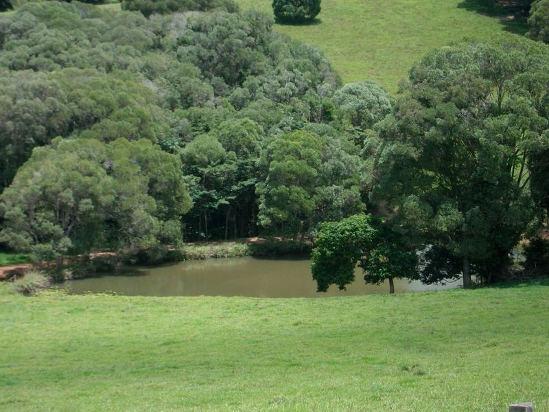 Yungaburra QLD 4884