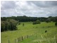 Yungaburra QLD 4884