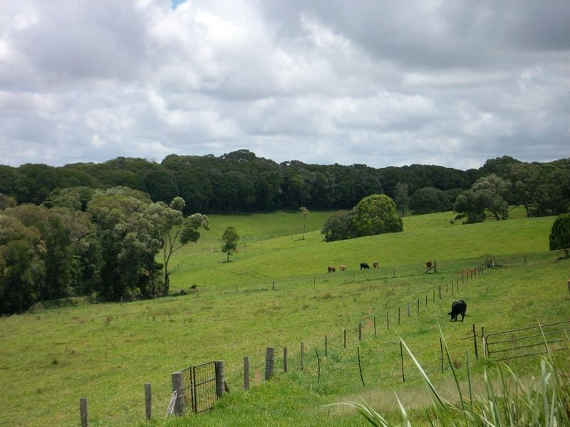 Yungaburra QLD 4884