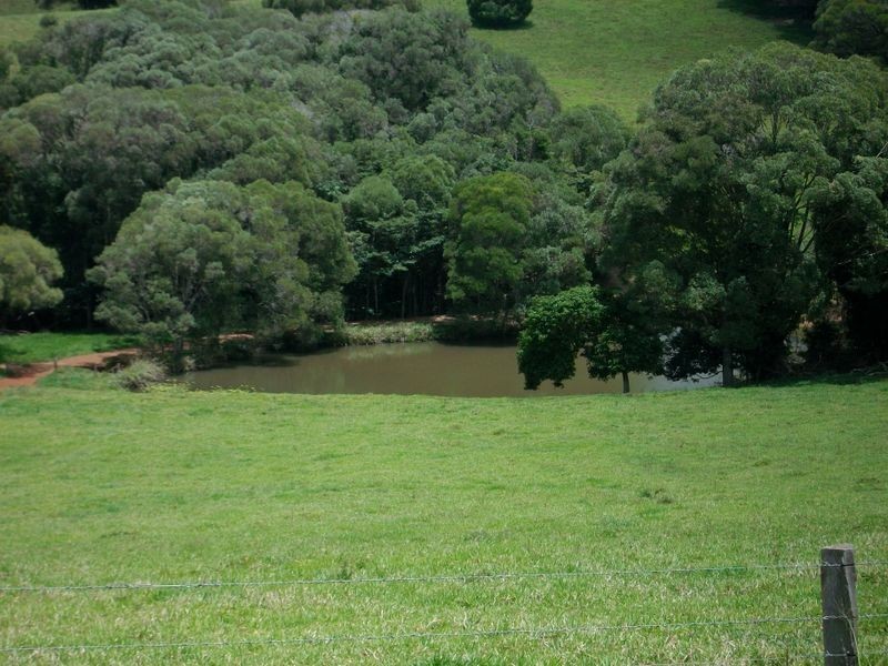 Yungaburra QLD 4884