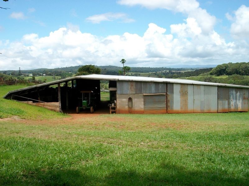 Yungaburra QLD 4884