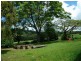 Yungaburra QLD 4884