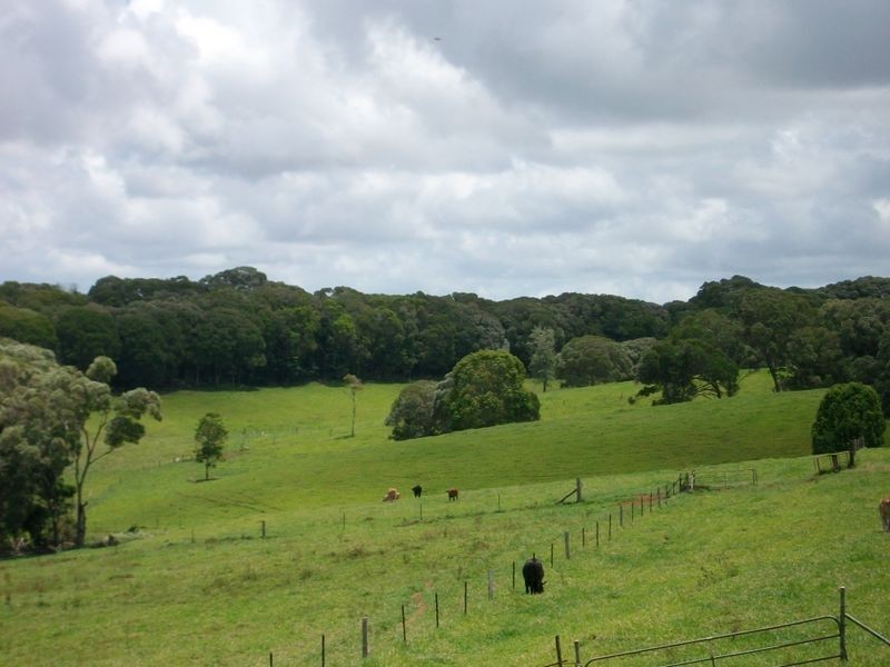Yungaburra QLD 4884