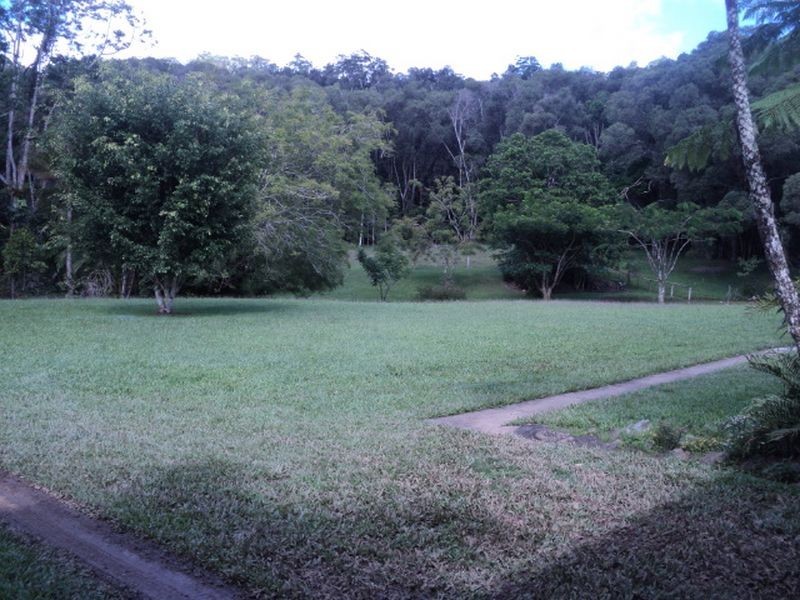 Lake Eacham QLD 4884