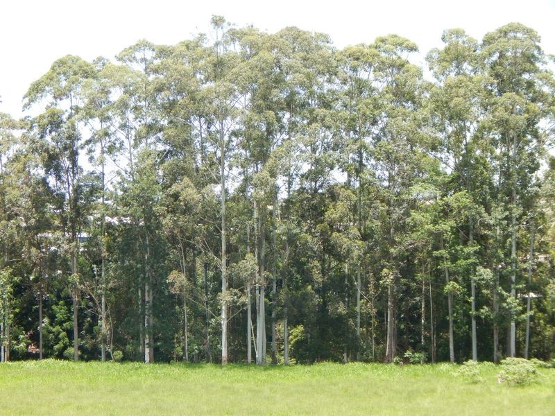 70 Manthey Road, Atherton QLD 4883
