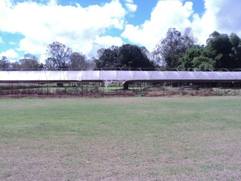 Tolga QLD 4882