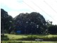 Tarzali QLD 4885