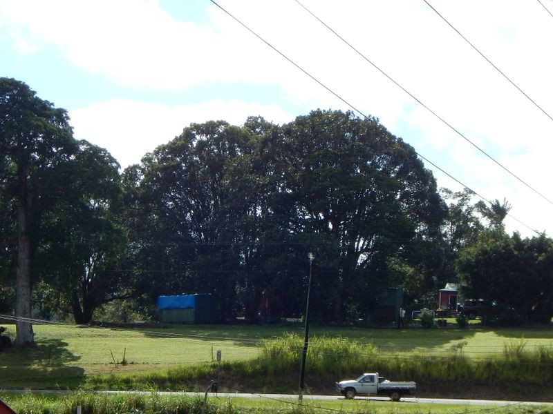 Tarzali QLD 4885
