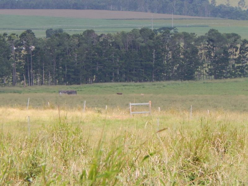 Atherton QLD 4883