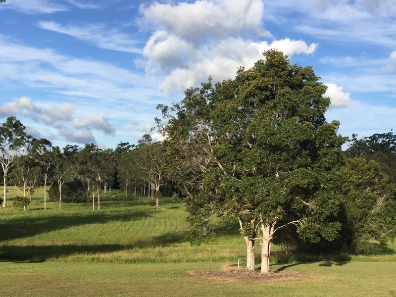 Atherton QLD 4883