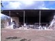 Tolga QLD 4882