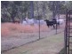 Tolga QLD 4882