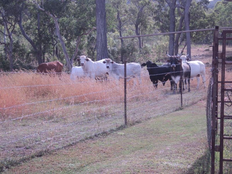 Tolga QLD 4882