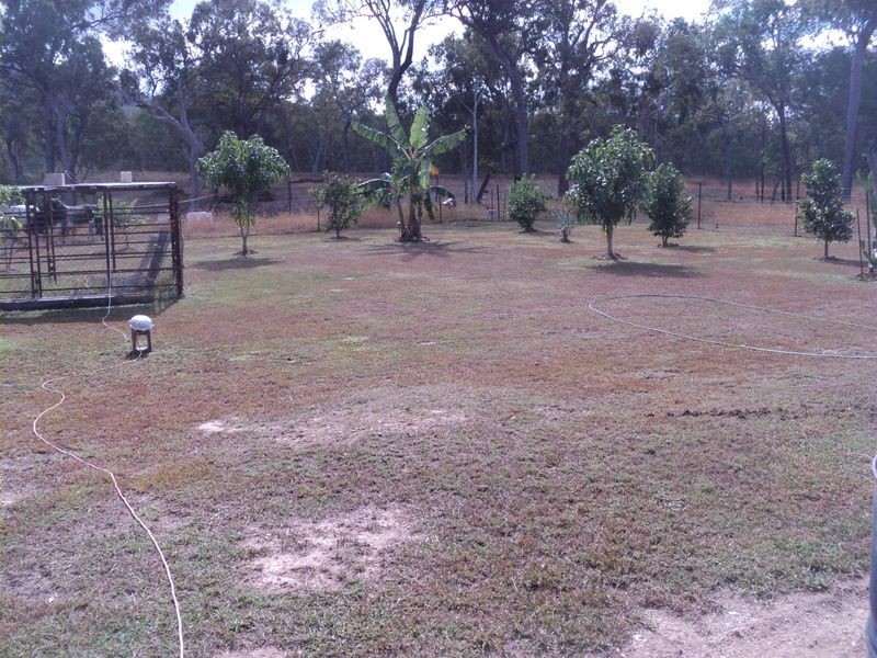 Tolga QLD 4882