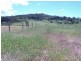 Peeramon QLD 4885