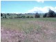 Peeramon QLD 4885