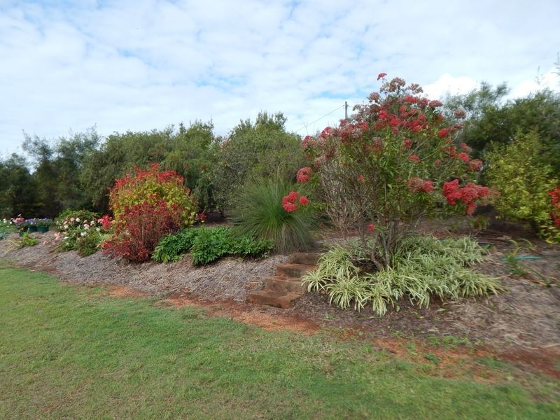 Tolga QLD 4882