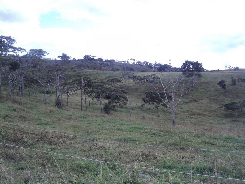 Jaggan QLD 4885