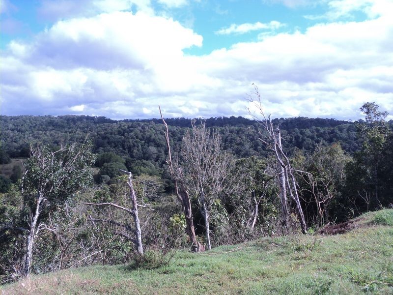 Jaggan QLD 4885