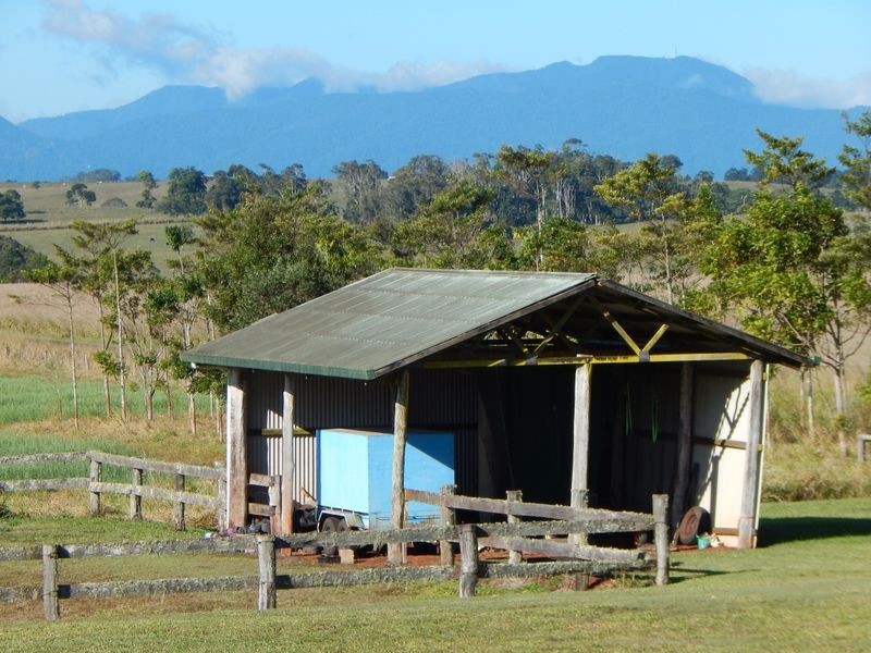 Lake Eacham QLD 4884