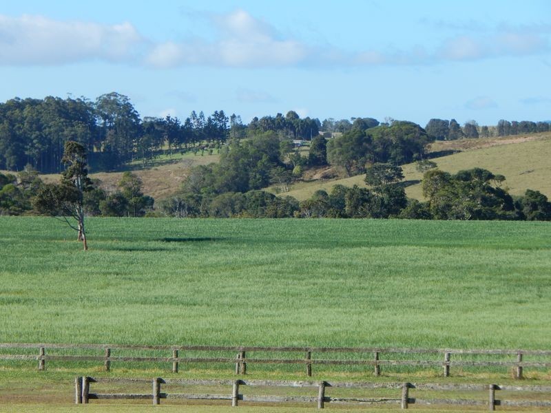 Lake Eacham QLD 4884