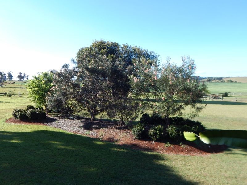 Lake Eacham QLD 4884