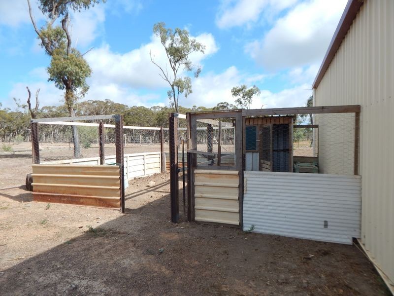 Walkamin QLD 4872