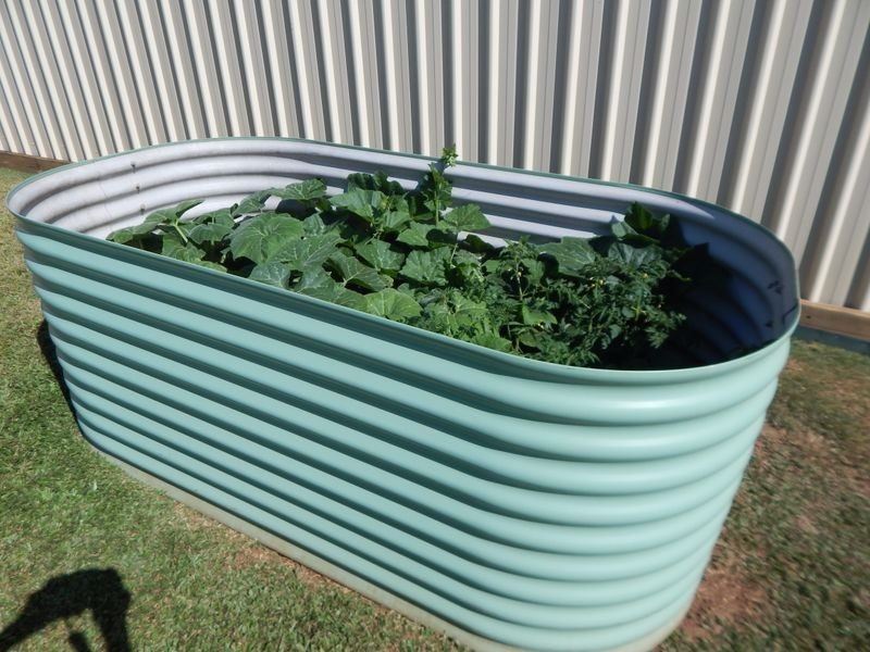 Atherton QLD 4883