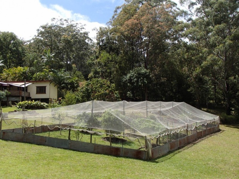 Wondecla QLD 4887