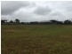 Yungaburra QLD 4884