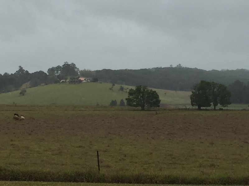 Yungaburra QLD 4884