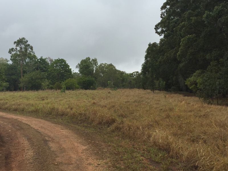 Tolga QLD 4882