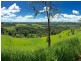 Millaa Millaa QLD 4886