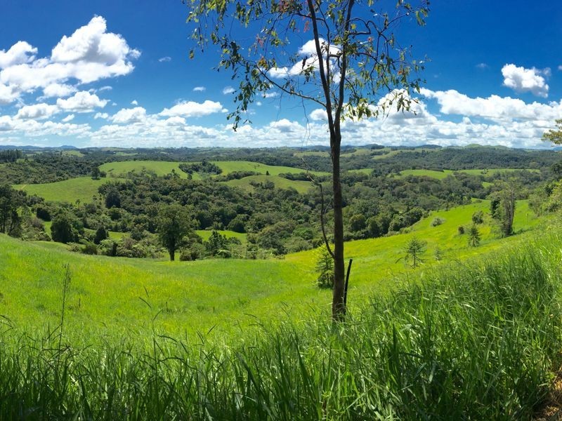 Millaa Millaa QLD 4886