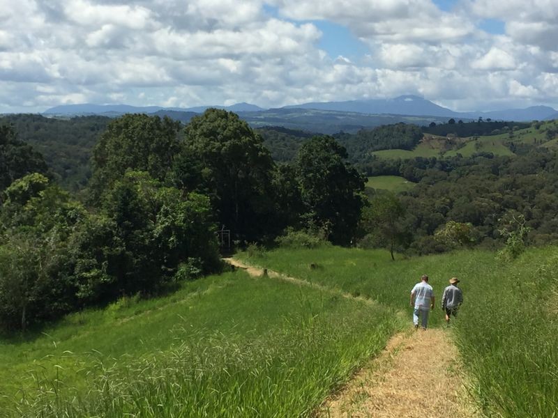 Millaa Millaa QLD 4886