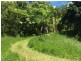 Millaa Millaa QLD 4886