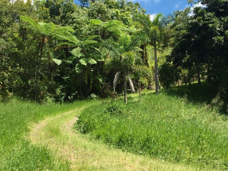 Millaa Millaa QLD 4886
