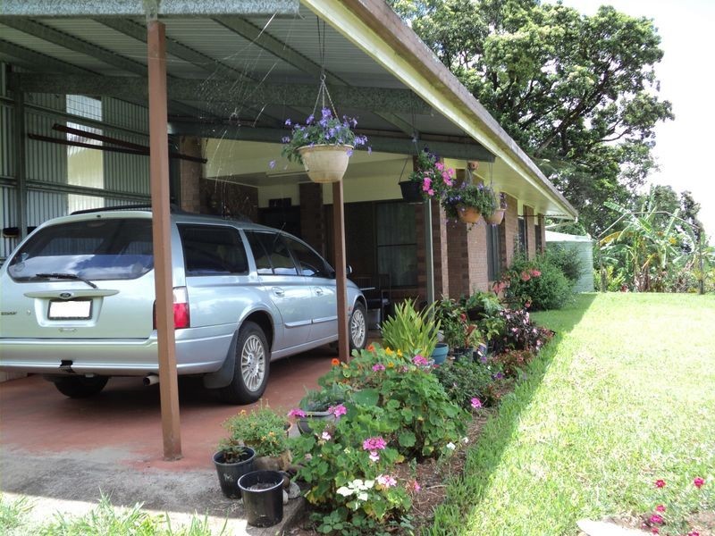 Millaa Millaa QLD 4886