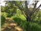 Millaa Millaa QLD 4886
